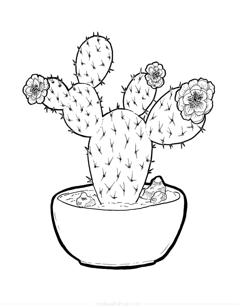 Cactus Plants Coloring Pages