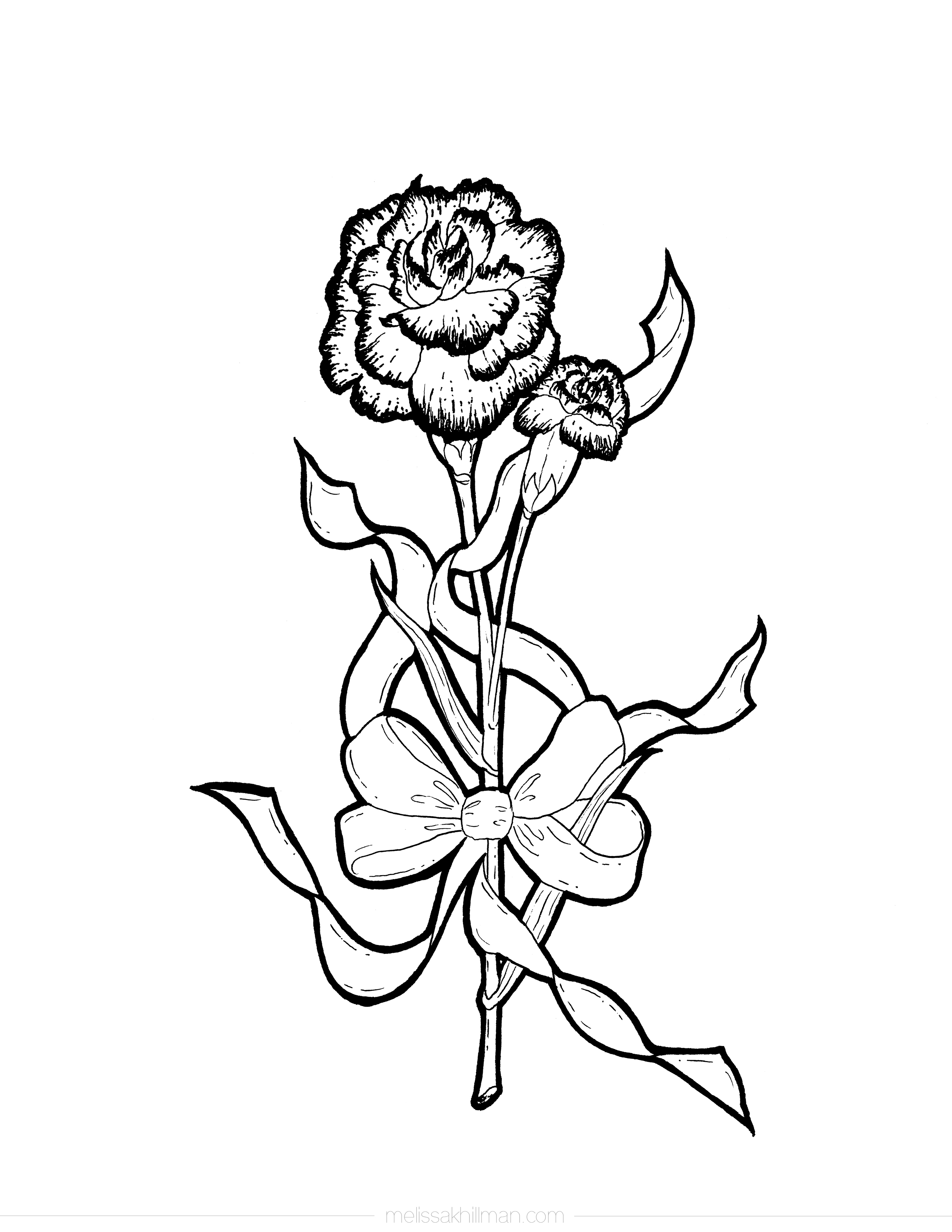 “Carnation” Coloring Page