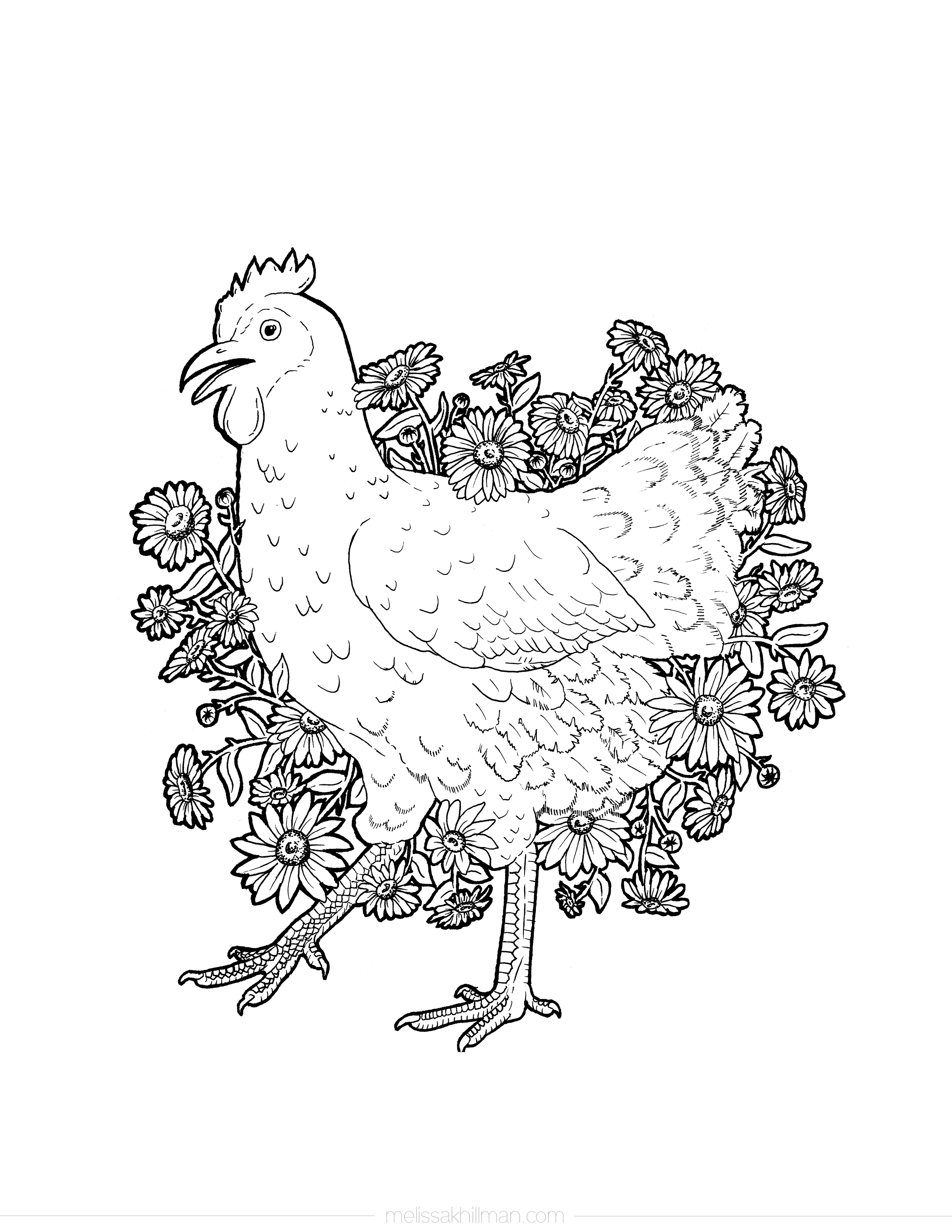 Collection of Chicken Coloring Pages - Free Printable