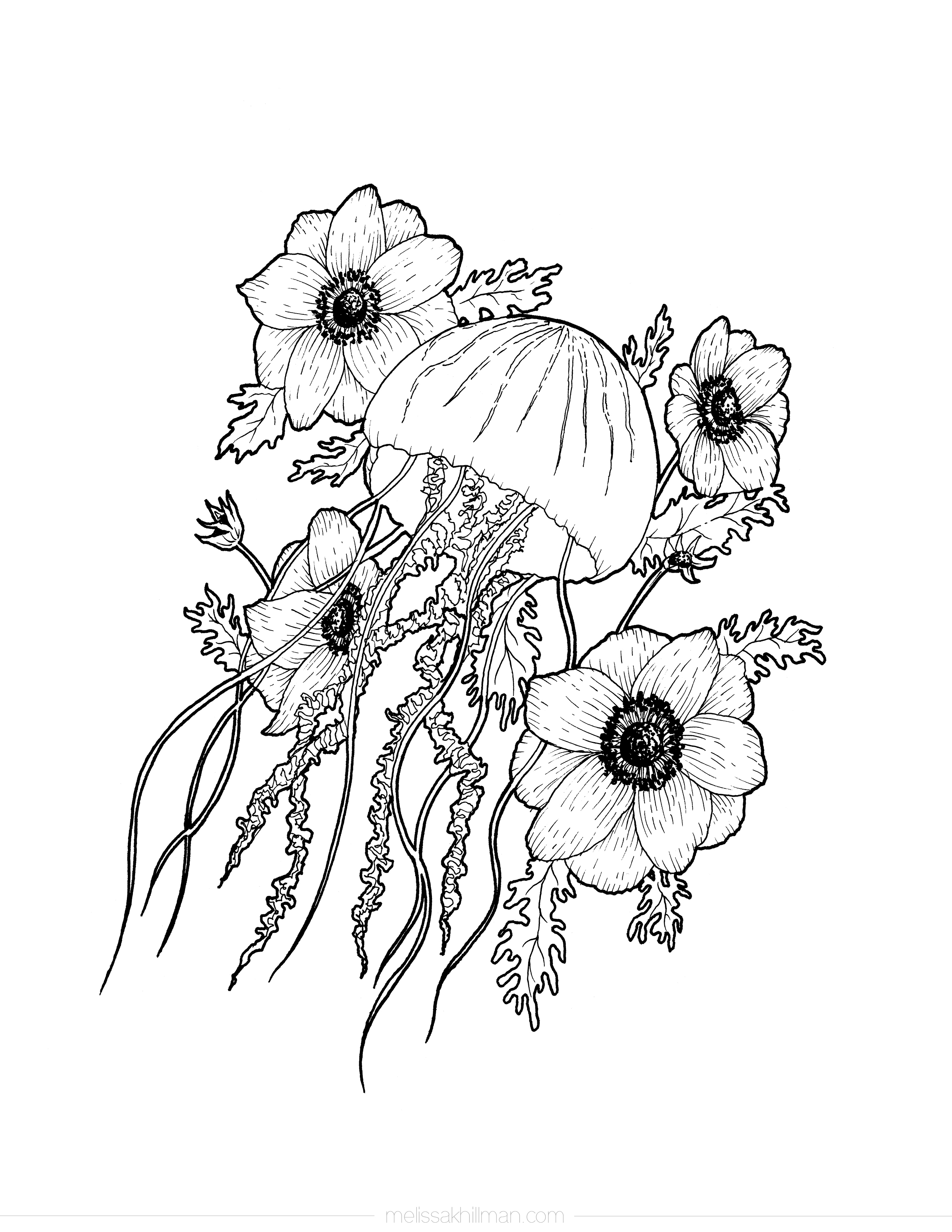 “Jellyfish” Coloring Page