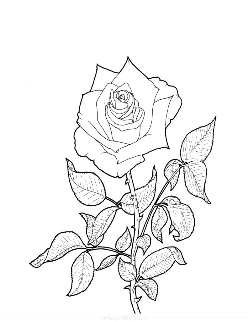 “Rose” Coloring Page