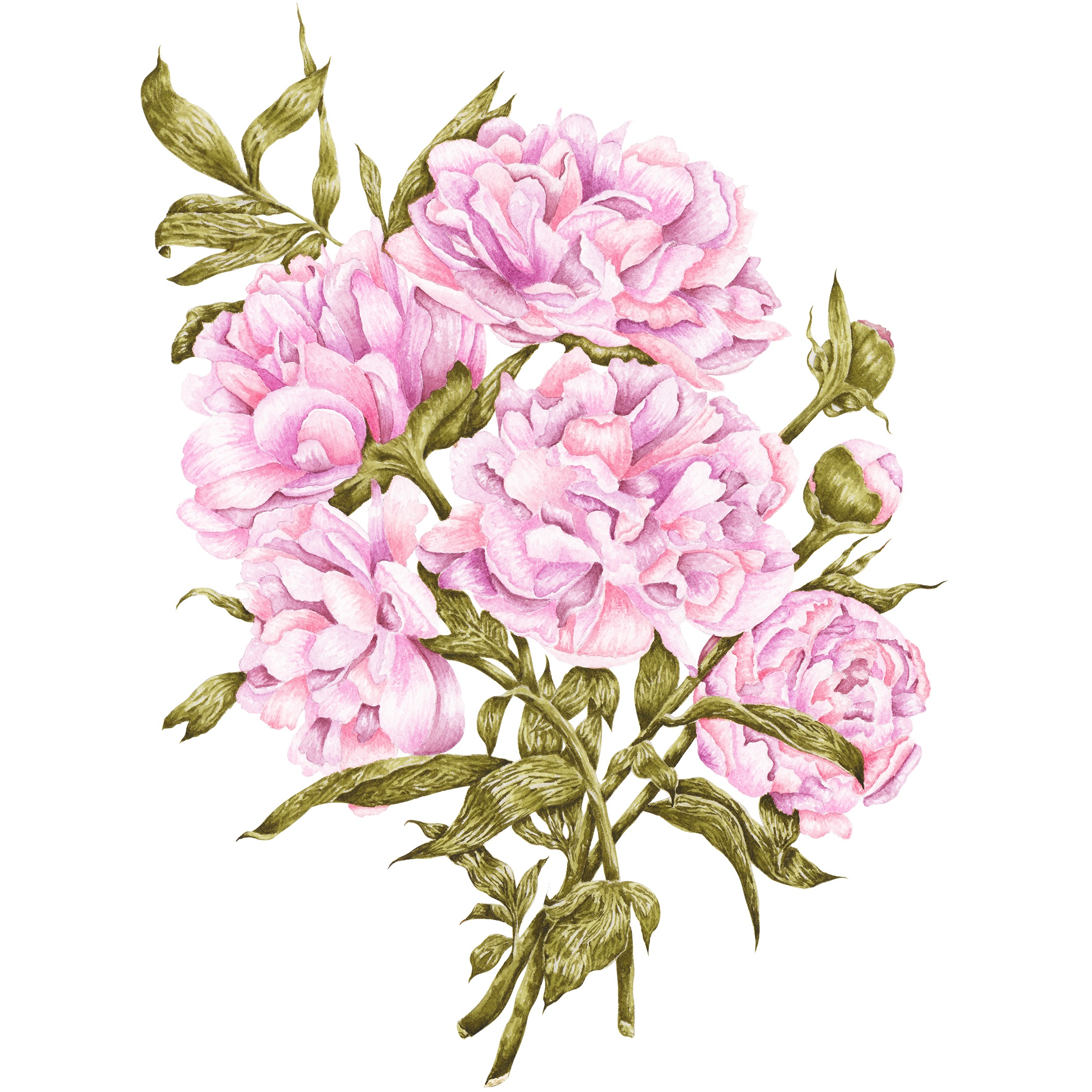 Pink Peony Bouquet Fine Art Prints