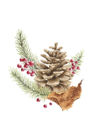 Festive Pinecone Fine Art Prints