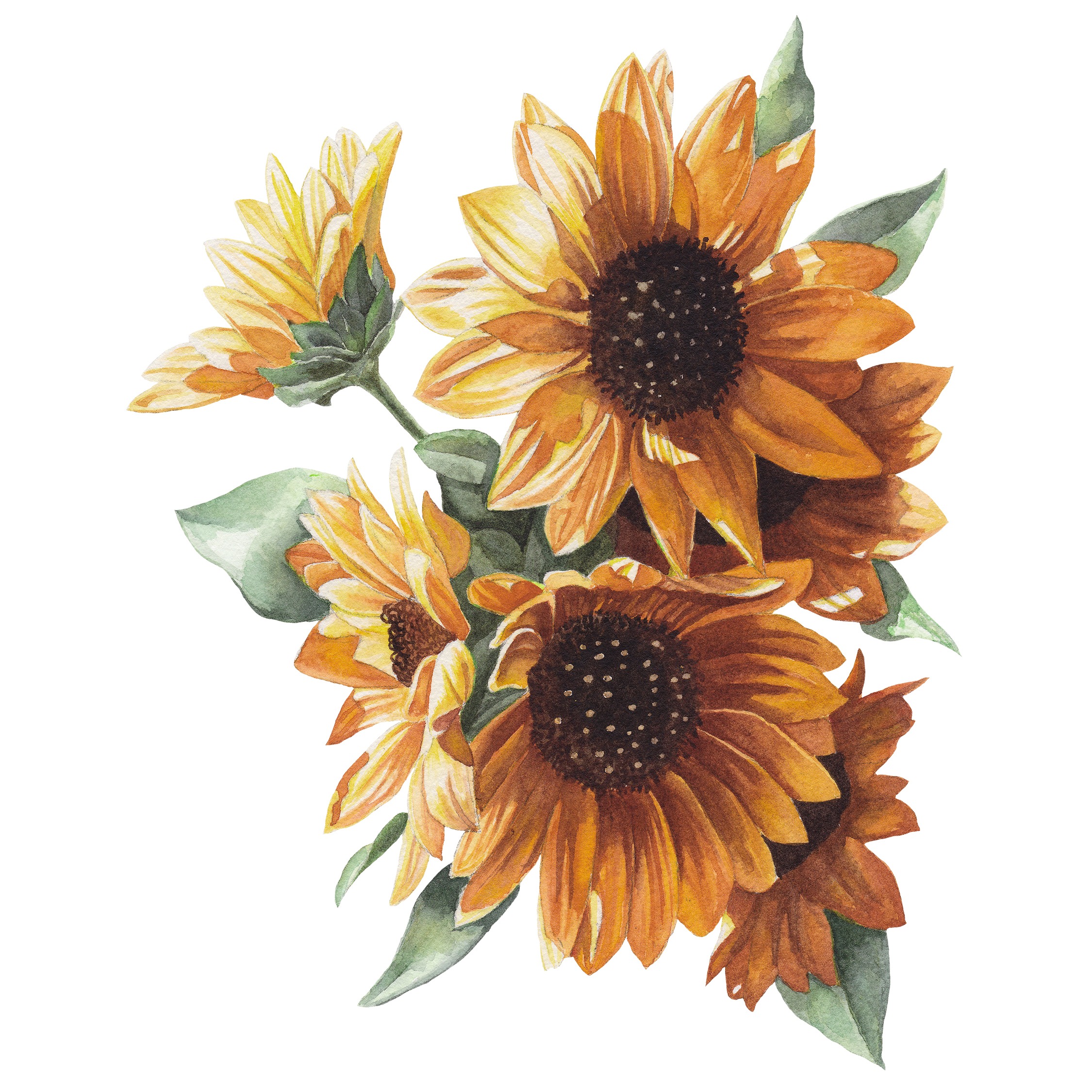 Sunflower Bunch Fine Art Prints