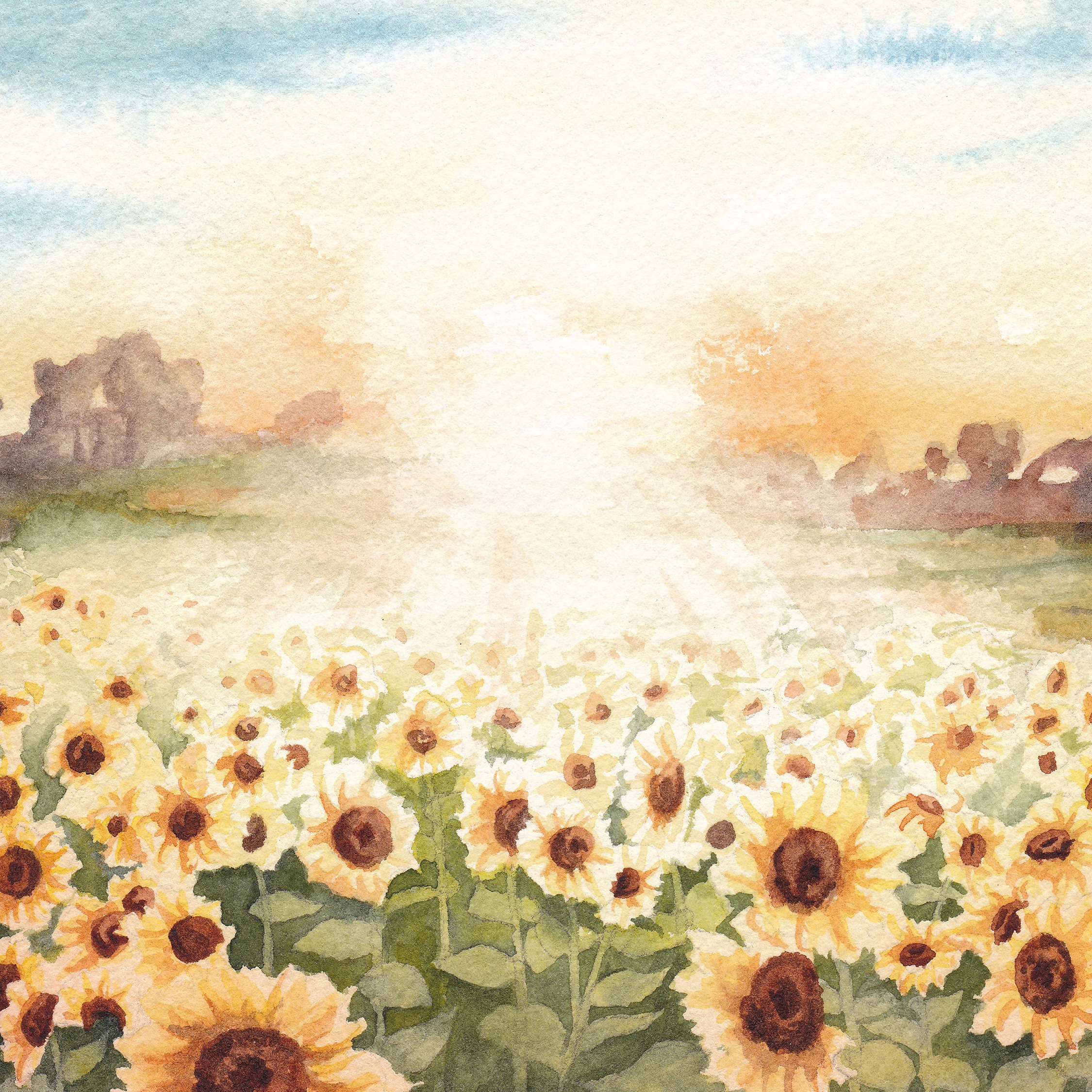 Sunflower Landscape Fine Art Prints