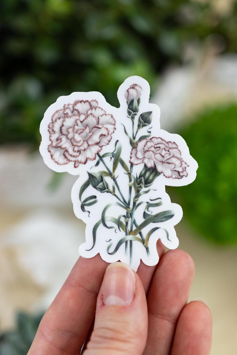 Carnation Sticker