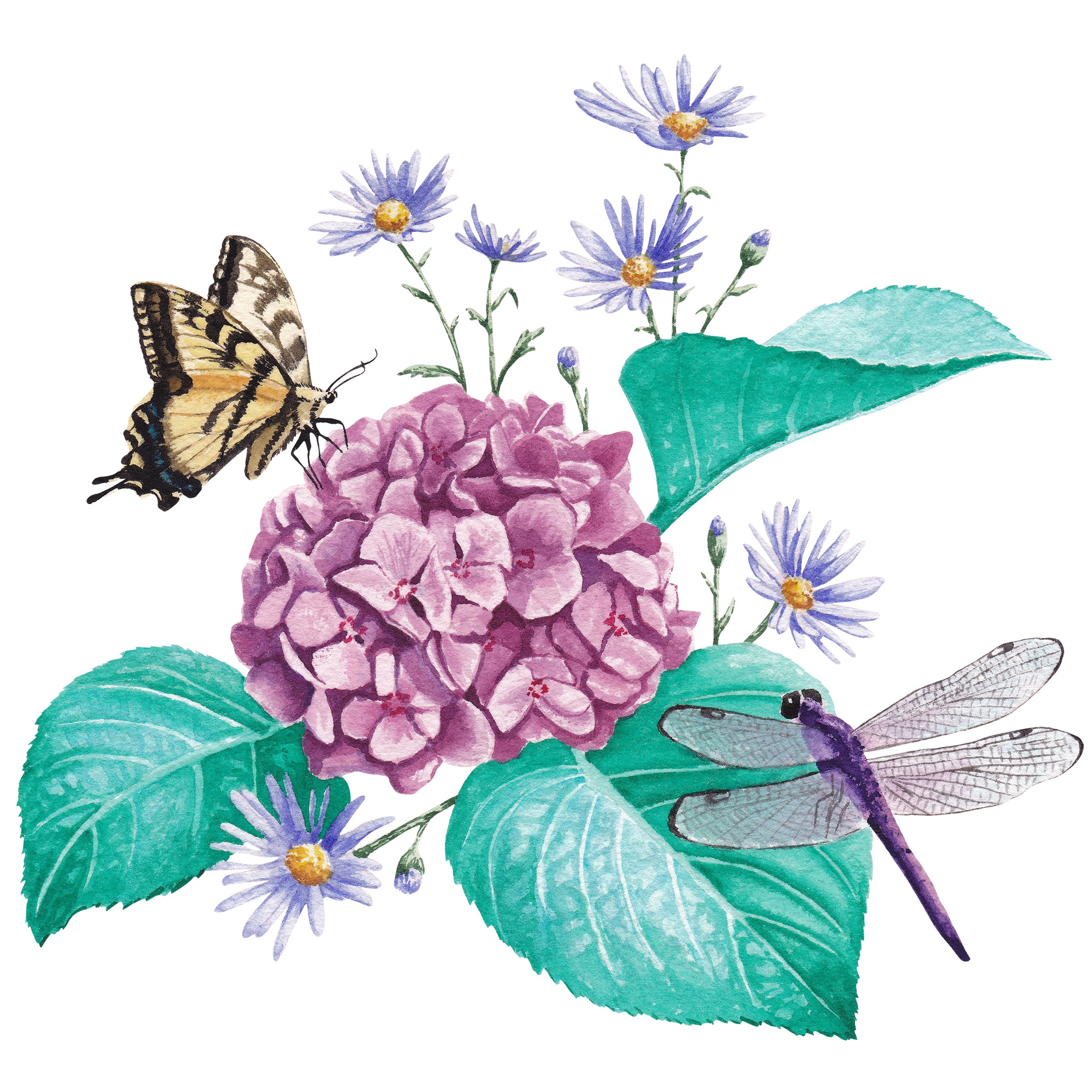 Hydrangea Fine Art Print