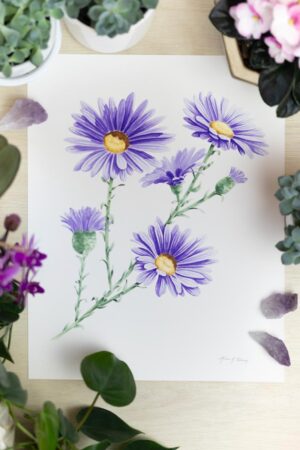Aster Original Painting