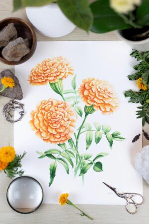 Marigold Original Painting