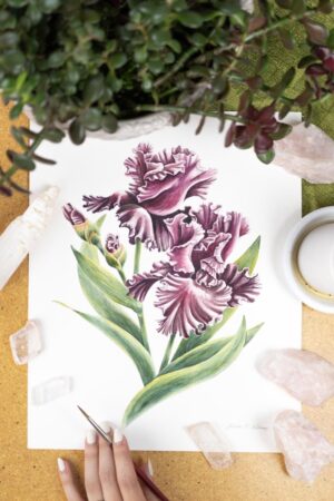 Iris Original Painting