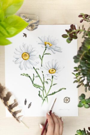 Daisy Original Painting