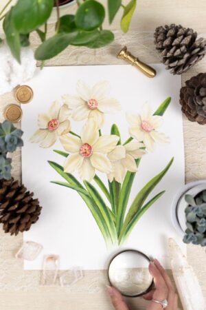 Narcissus Original Painting