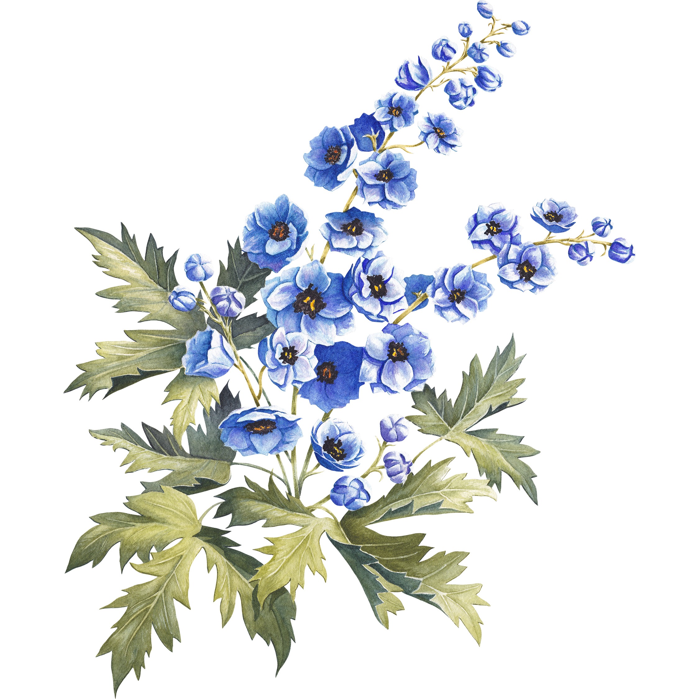 Larkspur Fine Art Print