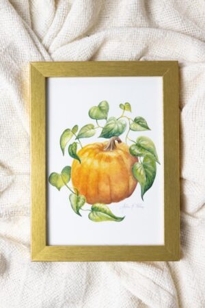 Pumpkin Framed Fine Art Print