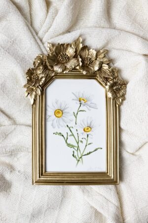 Daisy Framed Fine Art Print