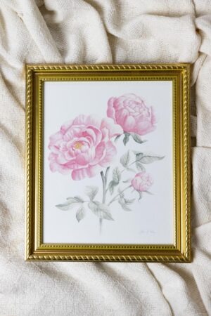 Pink Peony Framed Fine Art Print