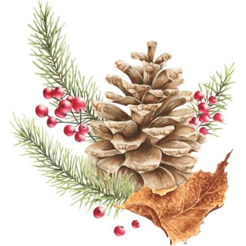 Festive Pinecone Fine Art Print