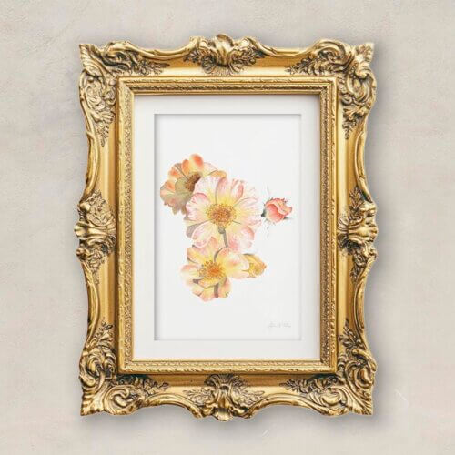 Garden Roses Fine Art Print Framed