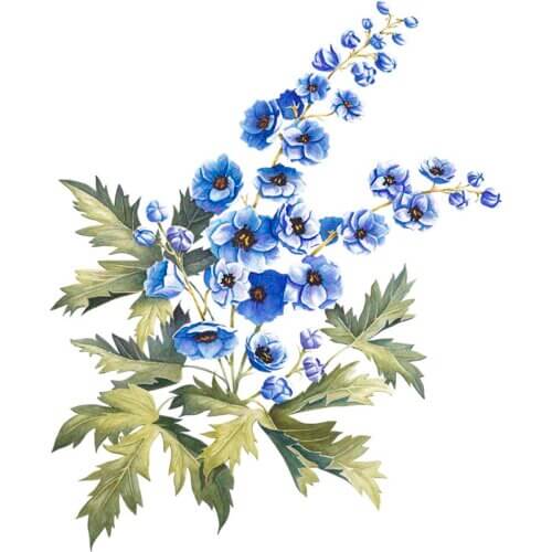 Larkspur Fine Art Print