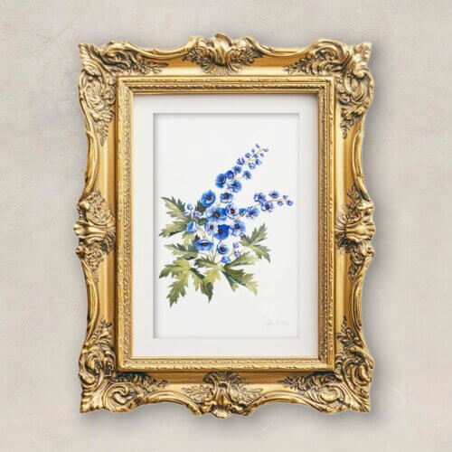 Larkspur Fine Art Print Framed