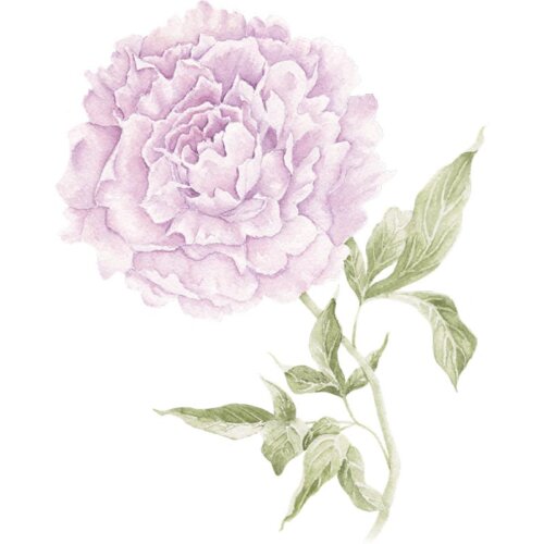 Purple Peony Fine Art Print