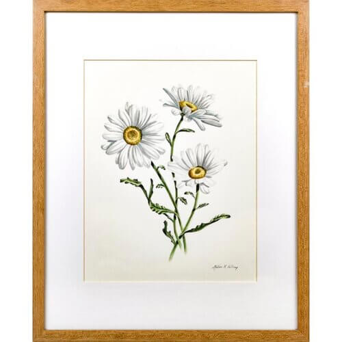 Daisy Original Painting