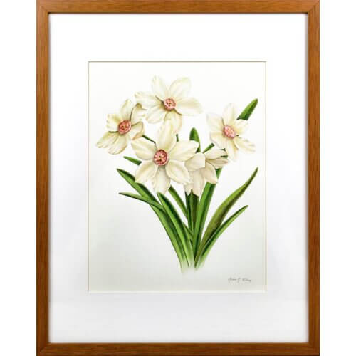 Narcissus Original Painting