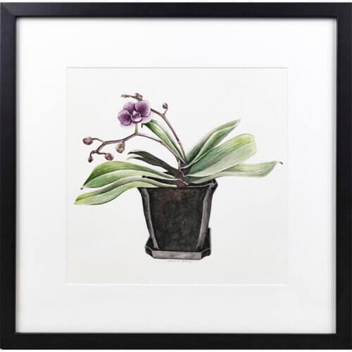 Single Orchid Bloom Original Painting
